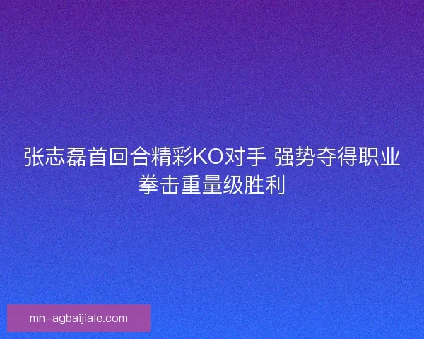 张志磊首回合精彩KO对手 强势夺得职业拳击重量级胜利