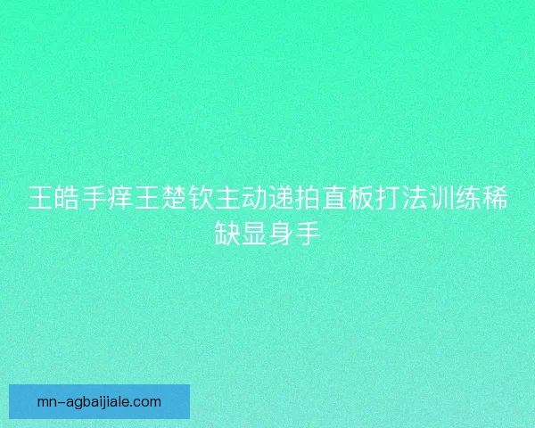 王皓手痒王楚钦主动递拍直板打法训练稀缺显身手